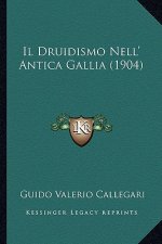 Il Druidismo Nell' Antica Gallia (1904)