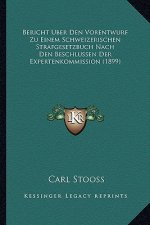 Bericht Uber Den Vorentwurf Zu Einem Schweizerischen Strafgesetzbuch Nach Den Beschlussen Der Expertenkommission (1899)