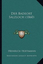 Der Badeort Salzloch (1860)