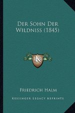 Der Sohn Der Wildniss (1845)