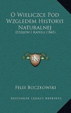 O Wieliczce Pod Wzgledem Historyi Naturalnej: Dziejow I Kapieli (1843)