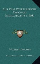 Aus Dem Worterbuche Tanchum Jeruschalmi's (1903)