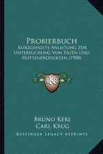 Probierbuch: Kurzgefasste Anleitung Zur Untersuchung Von Erzen Und Huttenprodukten (1908)