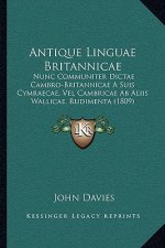 Antique Linguae Britannicae: Nunc Communiter Dictae Cambro-Britannicae a Suis Cymraecae, Vel Cambricae AB Aliis Wallicae, Rudimenta (1809)