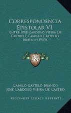 Correspondencia Epistolar V1: Entre Jose Cardoso Vieira de Castro E Camillo Castello Branco (1903)