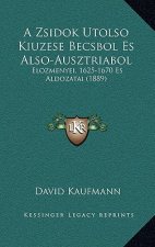 A Zsidok Utolso Kiuzese Becsbol Es Also-Ausztriabol: Elozmenyei, 1625-1670 Es Aldozatai (1889)