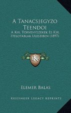 A Tanacsjegyzo Teendoi: A Kir. Torvenyszekek Es Kir. Itelotablak Uleseiben (1897)
