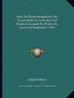 Atlas Der Beleuchtungsbilder Des Trommelfells Im Gesunden Und Kranken Zustande Fur Praktische Arzte Und Studirende (1896)