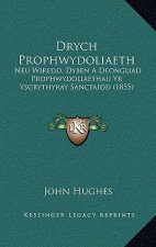 Drych Prophwydoliaeth: Neu Wiredd, Dyben a Deongliad Prophwydoliaethau Yr Ysgrythyray Sanctaidd (1855)