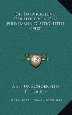Die Entwickelung Der Lehre Von Den Punktmannigfaltigkeiten (1900)