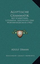 Agyptische Grammatik: Mit Schrifttafel, Litteratur, Lesestucken Und Worterverzeichnis (1902)