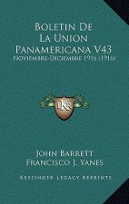 Boletin De La Union Panamericana V43: Noviembre-Diciembre 1916 (1916)