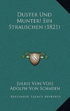 Duster Und Munter! Ein Strauschen (1821)