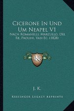 Cicerone In Und Um Neapel V1: Nach Romanelli, Marzullo, Del Re, Paolini, Vasi Ec. (1828)