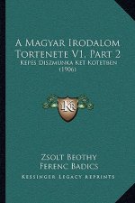 A Magyar Irodalom Tortenete V1, Part 2: Kepes Diszmunka Ket Kotetben (1906)