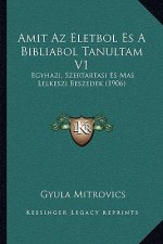 Amit Az Eletbol Es A Bibliabol Tanultam V1: Egyhazi, Szertartasi Es Mas Lelkeszi Beszedek (1906)