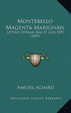 Montebello Magenta Marignan: Lettres D'Italie, Mai Et Juin 1859 (1859)