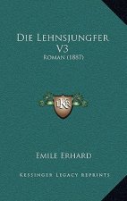 Die Lehnsjungfer V3: Roman (1887)