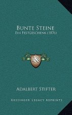 Bunte Steine: Ein Festgeschenk (1876)