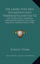 Die Lehre Von Den Geometrischen Verwandtschaften V2: Die Eindeutigen Linearen Verwandtschaften Zwischen Gebilden Zweiter Stufe (1908)
