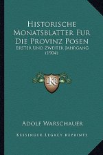 Historische Monatsblatter Fur Die Provinz Posen: Erster Und Zweiter Jahrgang (1904)