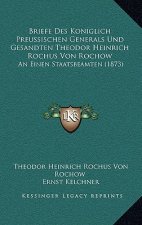 Briefe Des Koniglich Preussischen Generals Und Gesandten Theodor Heinrich Rochus Von Rochow: An Einen Staatsbeamten (1873)
