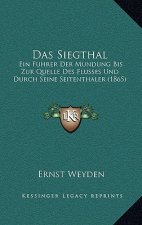 Das Siegthal: Ein Fuhrer Der Mundung Bis Zur Quelle Des Flusses Und Durch Seine Seitenthaler (1865)