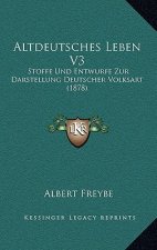 Altdeutsches Leben V3: Stoffe Und Entwurfe Zur Darstellung Deutscher Volksart (1878)