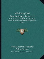Abbildung Und Beschreibung, Parts 1-2: Der In Deutschland Wild Wachsenden Und In Garten Im Freien Ausdauernden Giftgewachse (1838)