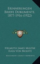 Erinnerungen Briefe Dokumente, 1877-1916 (1922)