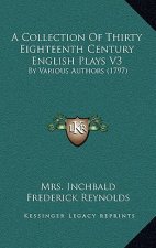 A Collection Of Thirty Eighteenth Century English Plays V3: By Various Authors (1797)