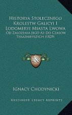 Historya Stolecznego Krolestw Galicyi I Lodomeryi Miasta Lwowa: Od Zalozenia Jego Az Do Czasow Teraznieyszych (1829)