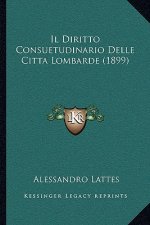 Il Diritto Consuetudinario Delle Citta Lombarde (1899)