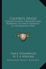 Calvijn's Jeugd: Jongelingsjaren, Omzwervingen, Bekeering, En Eerste Optreden Als Reformator (1903)