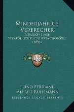 Minderjahrige Verbrecher: Versuch Einer Strafgerichtlichen Psychologie (1896)