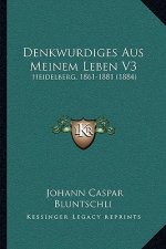 Denkwurdiges Aus Meinem Leben V3: Heidelberg, 1861-1881 (1884)
