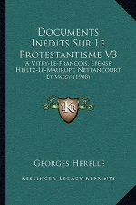 Documents Inedits Sur Le Protestantisme V3: A Vitry-Le-Francois, Epense, Heiltz-Le-Maurupt, Nettancourt Et Vassy (1908)
