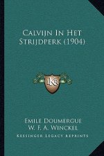 Calvijn In Het Strijdperk (1904)