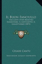 Il Buon Fanciullo: Racconti D'Un Maestro Elementare; Il Giovinetto; Il Galantuomo (1873)