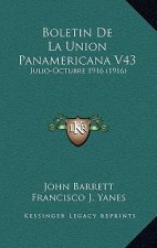 Boletin De La Union Panamericana V43: Julio-Octubre 1916 (1916)