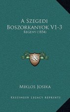 A Szegedi Boszorkanyok V1-3: Regeny (1854)