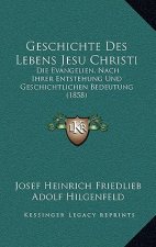 Geschichte Des Lebens Jesu Christi: Die Evangelien, Nach Ihrer Entstehung Und Geschichtlichen Bedeutung (1858)