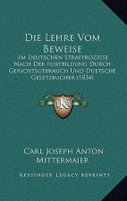 Die Lehre Vom Beweise: Im Deutschen Strafprozesse Nach Der Fortbildung Durch Gerichtsgebrauch Und Duetsche Gesetzbucher (1834)