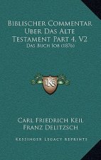 Biblischer Commentar Uber Das Alte Testament Part 4, V2: Das Buch Iob (1876)