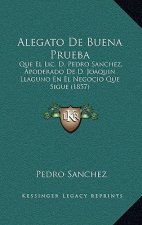 Alegato De Buena Prueba: Que El Lic. D. Pedro Sanchez, Apoderado De D. Joaquin Llaguno En El Negocio Que Sigue (1857)