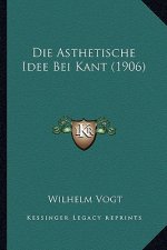 Die Asthetische Idee Bei Kant (1906)