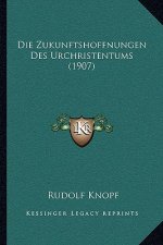 Die Zukunftshoffnungen Des Urchristentums (1907)