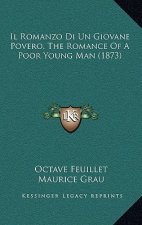 Il Romanzo Di Un Giovane Povero, The Romance Of A Poor Young Man (1873)