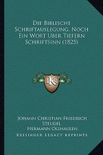 Die Biblische Schriftauslegung, Noch Ein Wort Uber Tiefern Schriftsinn (1825)