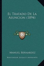 El Tratado De La Asuncion (1894)